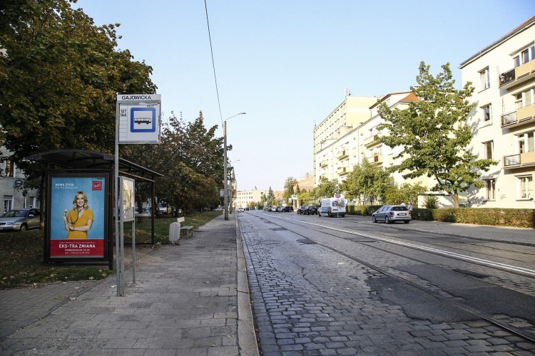 Miasto unieważniło przetarg na projekt przebudowy Gajowickiej, Magda Pasiewicz
