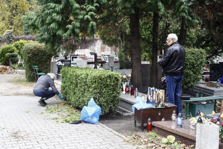 Wzmożony ruch na Cmentarzu Grabiszyńskim [ZDJĘCIA], Magda Pasiewicz