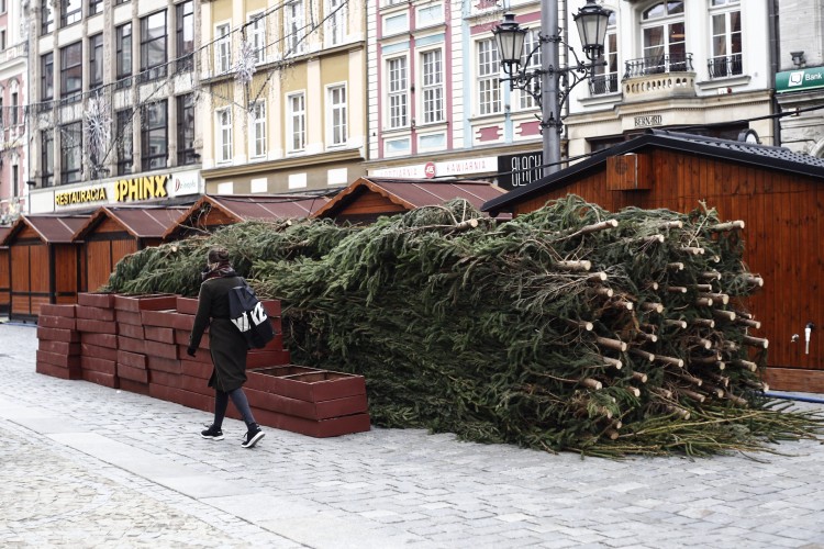 Na Rynku stanęła bożonarodzeniowa choinka [ZDJĘCIA], Magda Pasiewicz