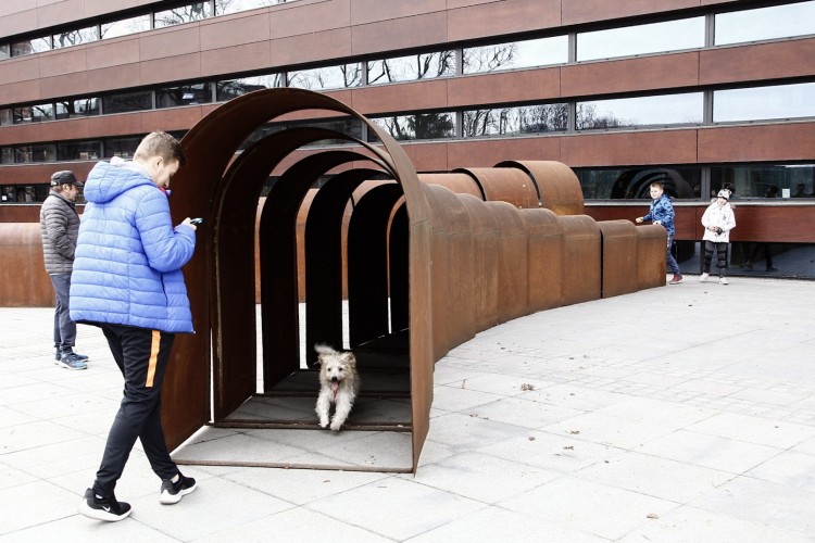 Nietypowa instalacja przed Narodowym Forum Muzyki. Co to jest? [ZDJĘCIA], Magda Pasiewicz