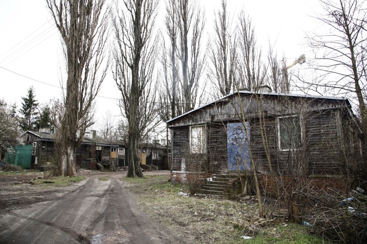 Obóz pracy na Sołtysowicach mógłby być przestrogą dla przyszłych pokoleń. Radny pisze do niemieckiego konsulatu, Magda Pasiewicz