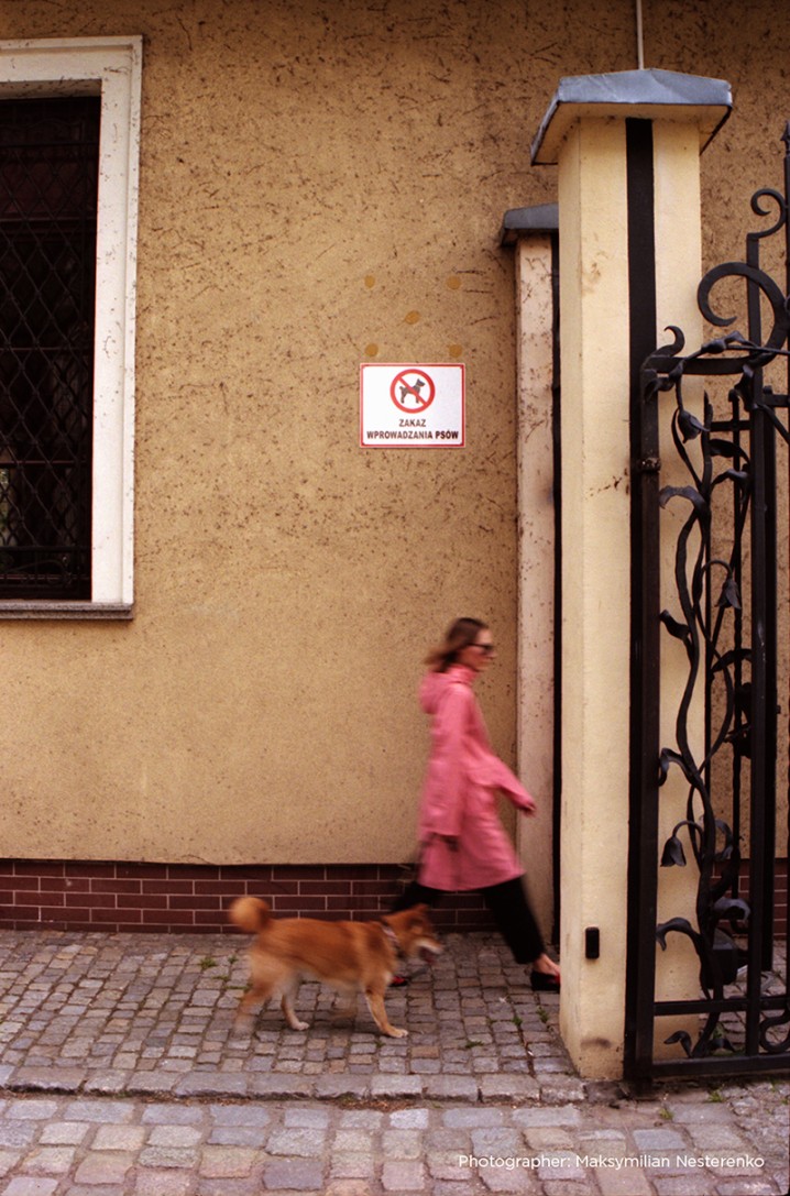 Jeden dzień z psem. Projekt fotograficzny Rosjanki z Wrocławia [ZDJĘCIA], Anna Sitnikova, Maksymilian Nesterenko, Mykyta Martynenko