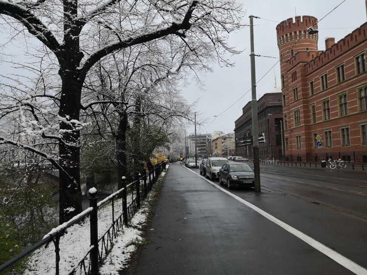 We Wrocławiu spadł śnieg [ZDJĘCIA], Michał Hernes, Bartosz Senderek, red., czytelnik