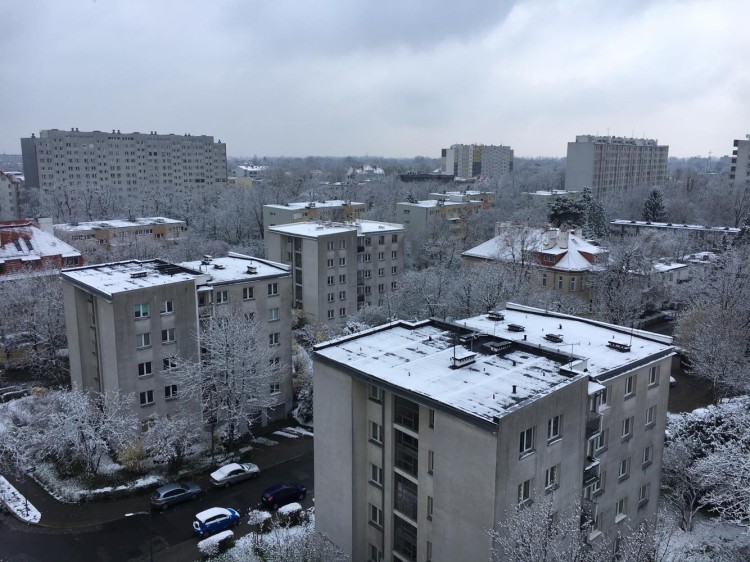 Śnieg we Wrocławiu [ZOBACZ ZDJĘCIA], Czytelnik