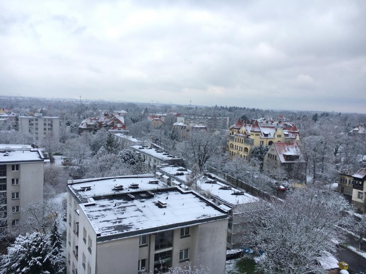 Śnieg we Wrocławiu [ZOBACZ ZDJĘCIA], Czytelnik