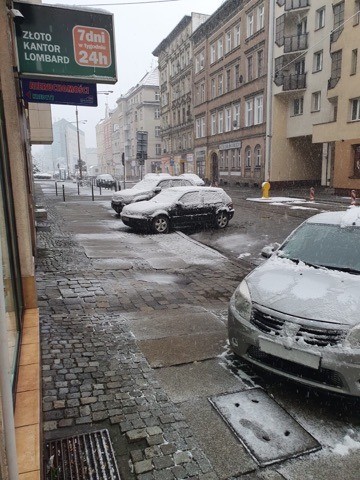 We Wrocławiu spadł śnieg [ZDJĘCIA], Czytelnik