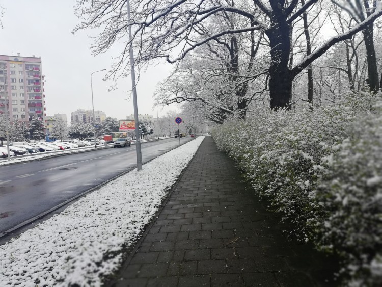 Śnieg we Wrocławiu [ZOBACZ ZDJĘCIA], Michał Hernes