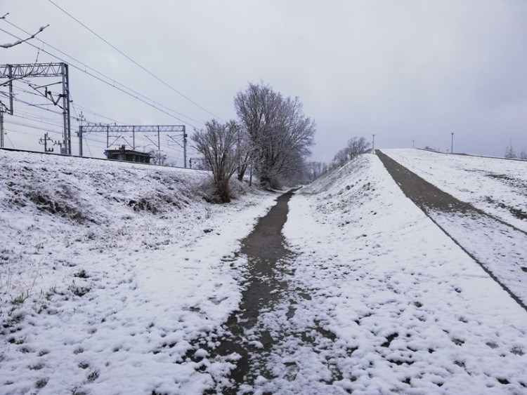 Śnieg we Wrocławiu [ZOBACZ ZDJĘCIA], Bartosz Senderek