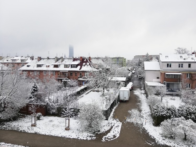 We Wrocławiu spadł śnieg [ZDJĘCIA], Bartosz Senderek