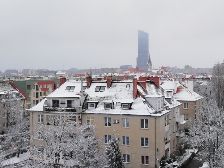 We Wrocławiu spadł śnieg [ZDJĘCIA], Bartosz Senderek
