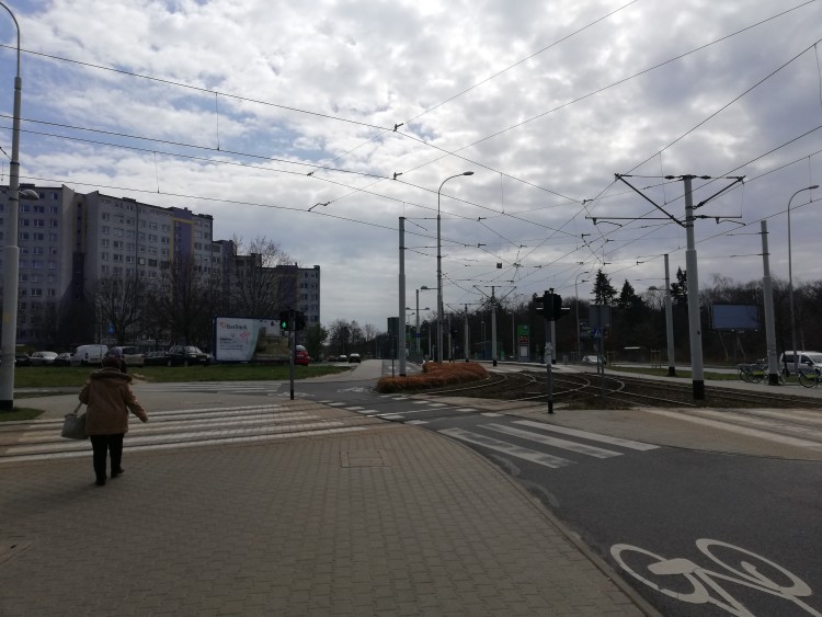 Długie kolejki przed sklepami i puste parki [ZDJĘCIA], Michał Hernes