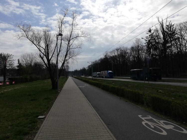 Długie kolejki przed sklepami i puste parki [ZDJĘCIA], Michał Hernes