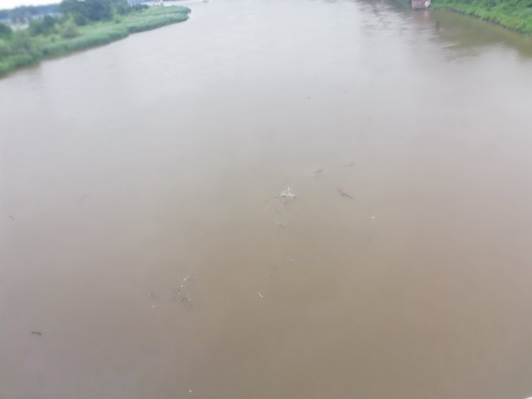 IMGW ostrzega przed zagrożeniem powodziowym na Dolnym Śląsku [ZDJĘCIA], Michał Hernes
