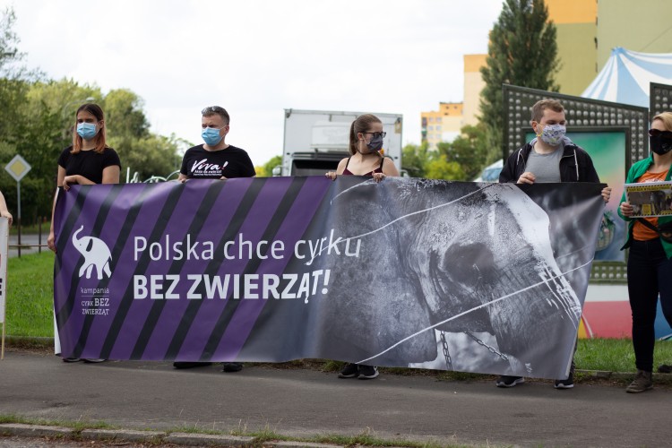 „Witajcie w piekle”. Protest przed cyrkiem przeciwko dręczeniu zwierząt [ZDJĘCIA], Anna Plebanska
