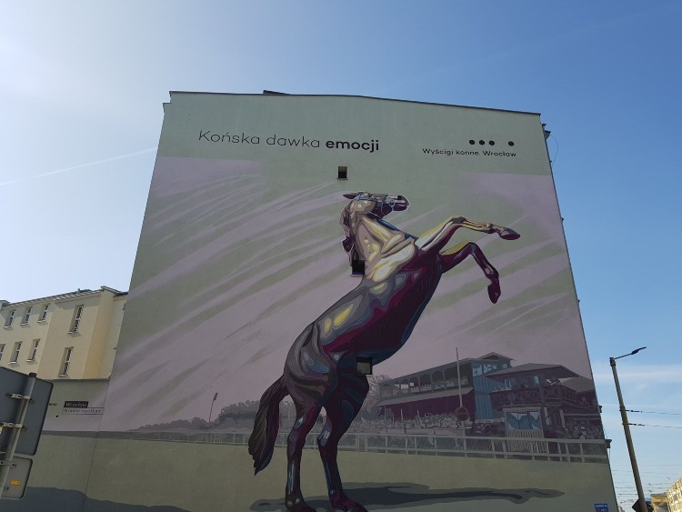 Imponujący mural pokrył ścianę budynku przy ulicy Sądowej [ZDJĘCIA], Aleksander Hutyra