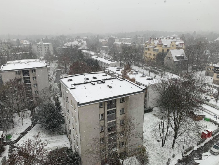 Pierwszy w tym roku atak zimy we Wrocławiu [ZDJĘCIA], red.