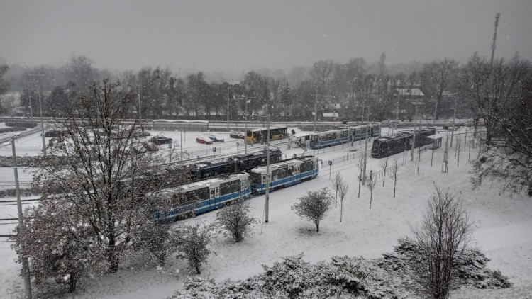 Pierwszy w tym roku atak zimy we Wrocławiu [ZDJĘCIA], Bartosz Senderek