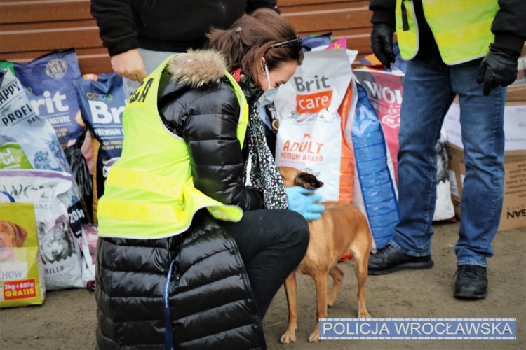 „Psy” pomogły psom. Karma z wrocławskich komisariatów trafiła do bezdomnych czworonogów [ZDJĘCIA], KMP we Wrocławiu