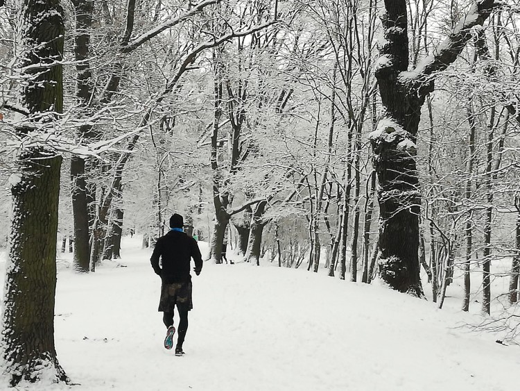Śnieg we Wrocławiu. Zrobiło się biało [ZDJĘCIA], Michał Hernes