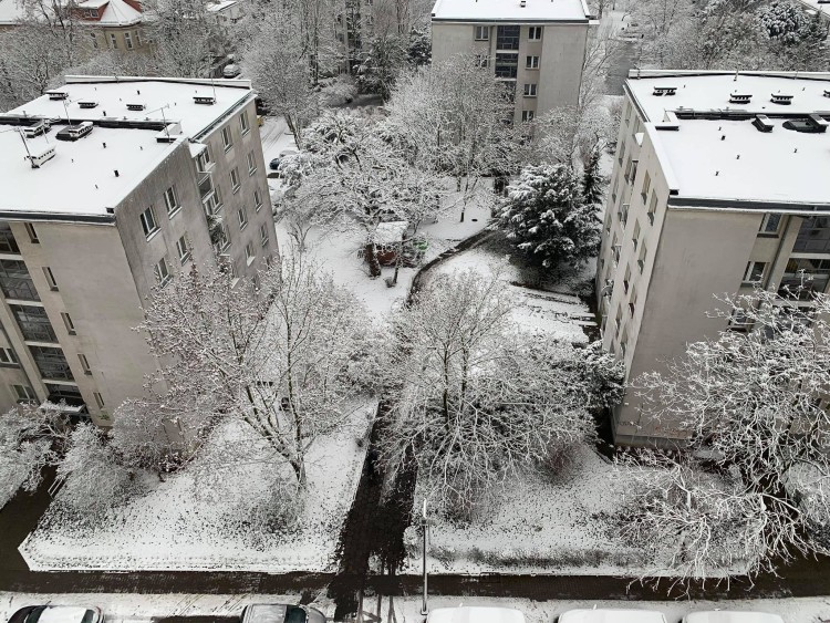 Śnieg we Wrocławiu. Zrobiło się biało [ZDJĘCIA], Red.