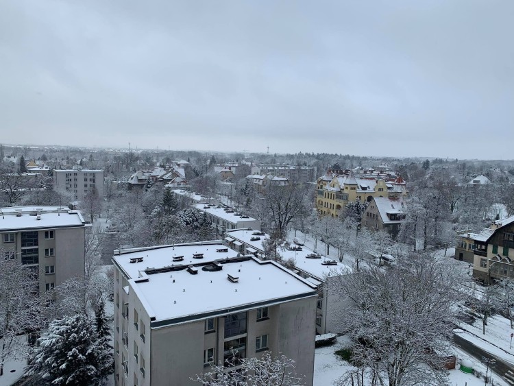 Śnieg we Wrocławiu. Zrobiło się biało [ZDJĘCIA], Red.