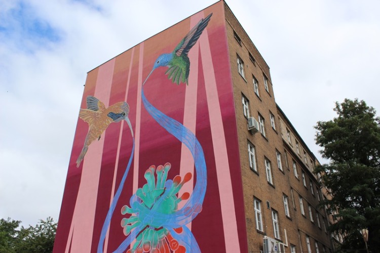 Nowy mural we Wrocławiu. Oto „Kolibry wiążące wirusa” [ZDJĘCIA], Jakub Jurek