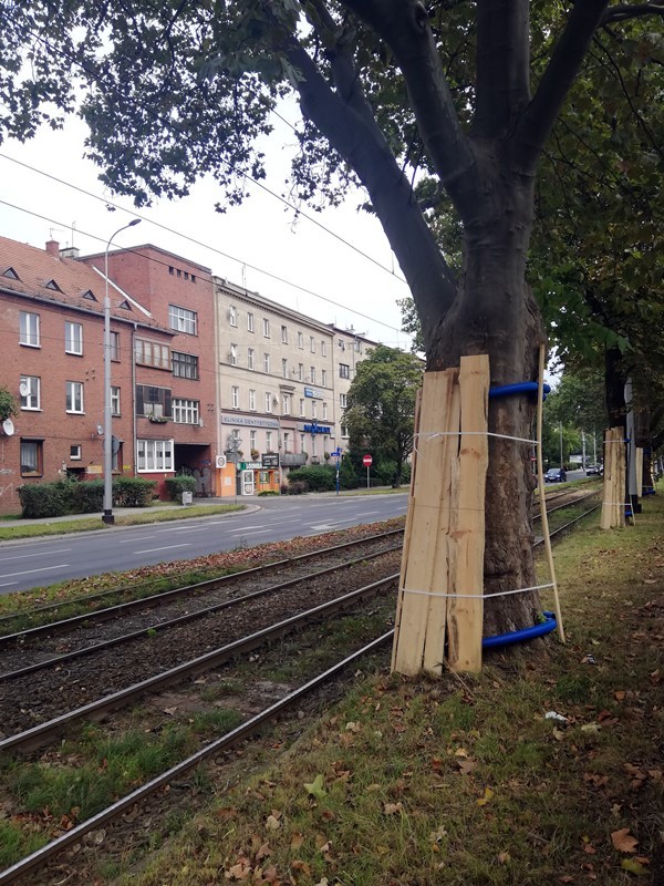 Kolejny remont torowiska na Hallera. Od 25 września zmiany w kursowaniu tramwajów, Bartosz Senderek