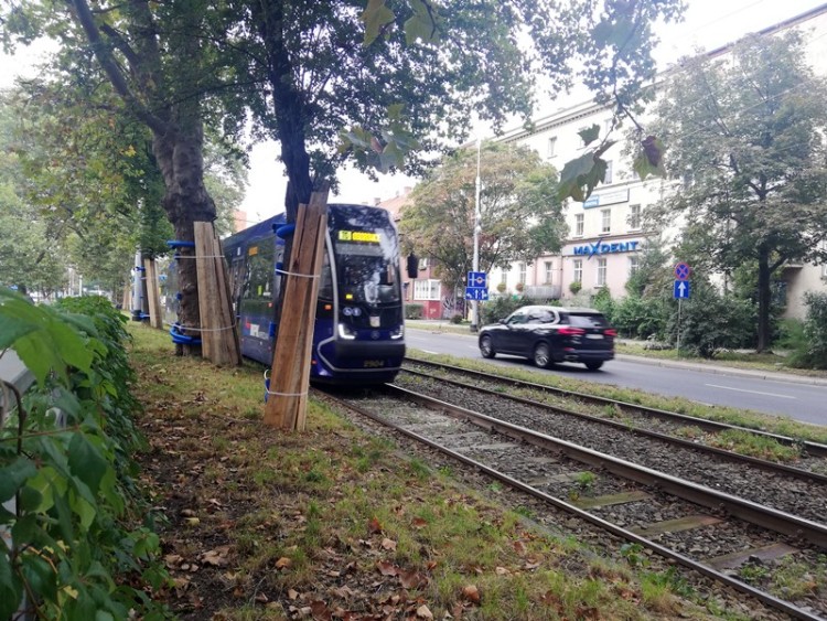 Kolejny remont torowiska na Hallera. Od 25 września zmiany w kursowaniu tramwajów, Bartosz Senderek