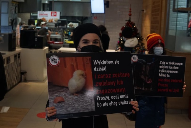 Wrocław: protest wegan w McDonald's, Burger King i KFC. Interweniowała obsługa [ZDJĘCIA, WIDEO], mat. pras.