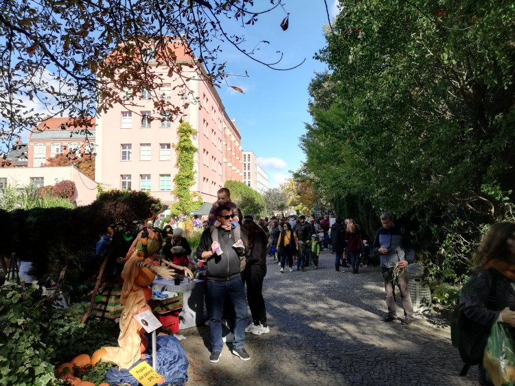 Wrocław: Festiwal Dyni 2022. Tłumy w Ogrodzie Botanicznym [ZDJĘCIA], mgo