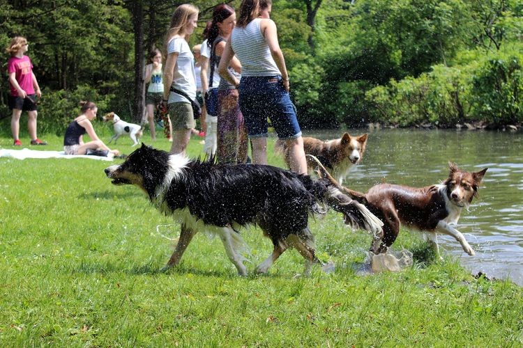 We wrocławskich parkach powstaną specjalne strefy dla psów?, Bartosz Senderek
