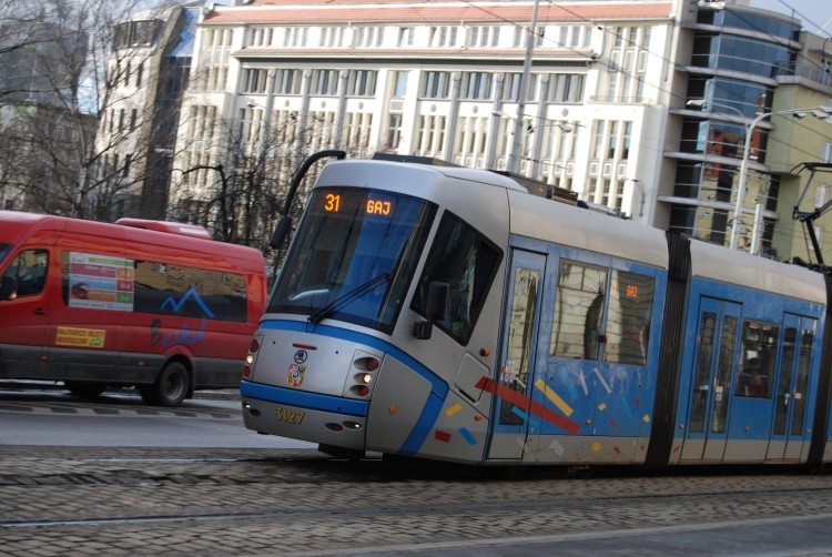 Czy wesoły tramwaj przekona wrocławskich przedszkolaków do komunikacji miejskiej?, Bartosz Senderek