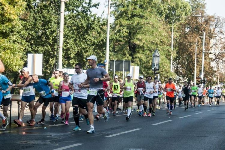 Zmiany w komunikacji w związku z 35. PKO Wrocław Maratonem. Jakich utrudnień się spodziewać?, 0