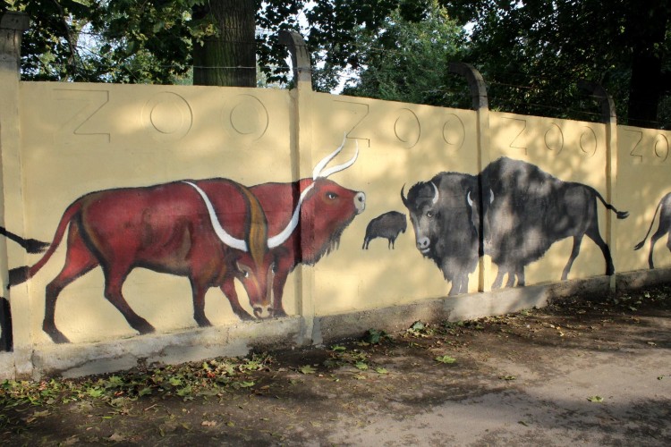 Nowy mural wrocławskiego zoo odsłonięty! A na nim aż 260 zwierząt [ZDJĘCIA], 0