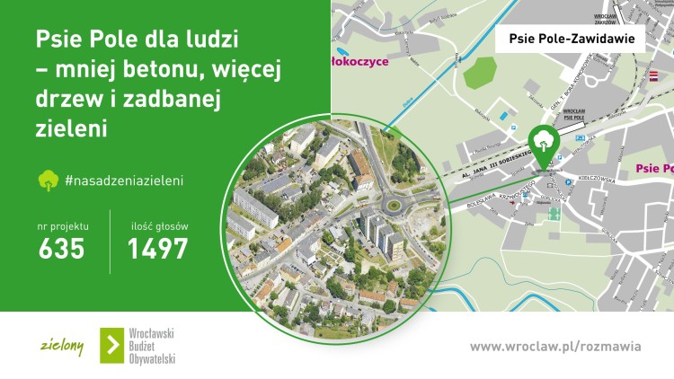 Zielone przystanki i hotele dla zapylaczy – wrocławianie zdecydowali, na co miasto wyda dodatkowe 2,5 mln zł z WBO, mat. UMW