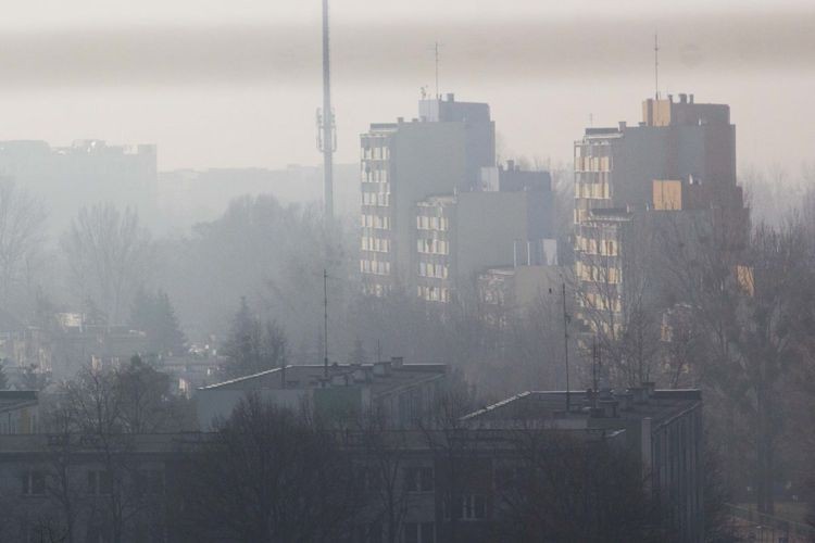 Wrocław w sobotę był na pozycji lidera miast o największym zanieczyszczeniu powietrza!, Magda Pasiewicz