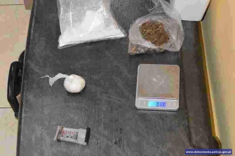 Policjanci znaleźli 122 doniczki z roślinami konopi i 2 tys. porcji amfetaminy, Dolnośląska policja