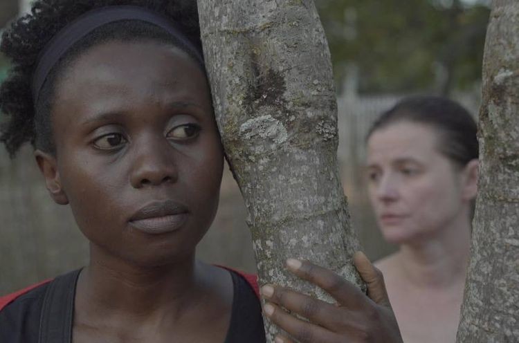Pokaz filmu o ludobójstwie w Rwandzie na Brave Festivalu [WIDEO-WYWIAD], Materiały prasowe