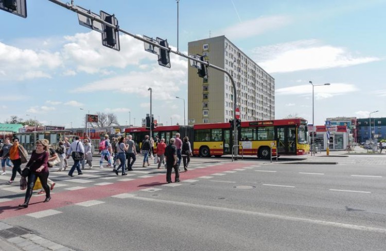 Miasto ogłosiło drugi przetarg na tramwaj na Nowy Dwór. Podzielony na 22 zadania, Magda Pasiewicz