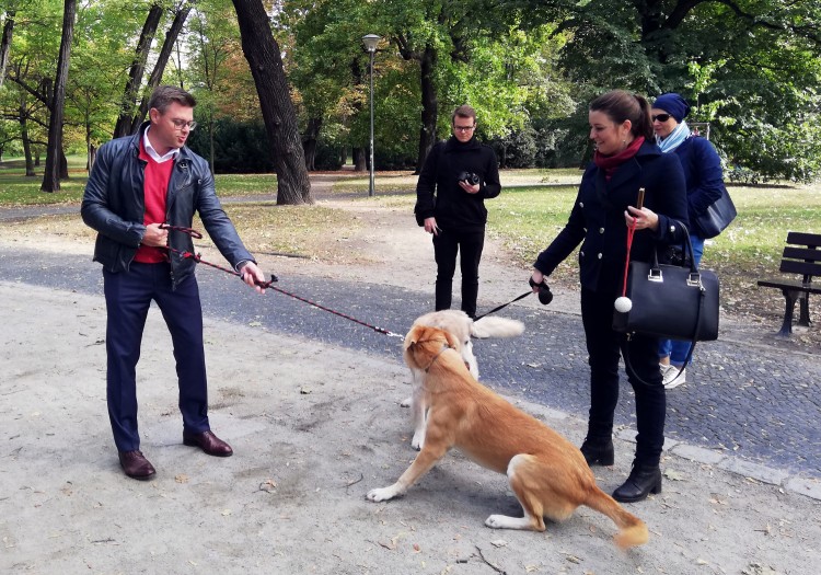 Michalak prezentuje postulaty dla właścicieli zwierząt. W tym wybiegi, „psie pakiety” i cmentarz pamięci, Bartosz Senderek