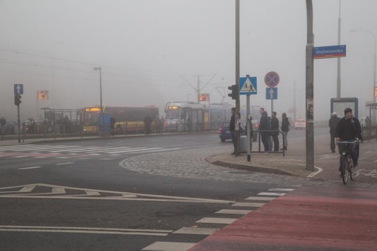 Wrocław we mgle. Słaba widoczność na ulicach, Magda Pasiewcz