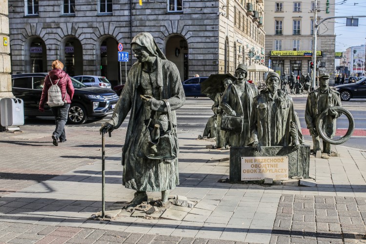 Wrocławskie pomniki zachęcają do pomocy pszczołom [ZDJĘCIA], Marta Boska / materiały prasowe