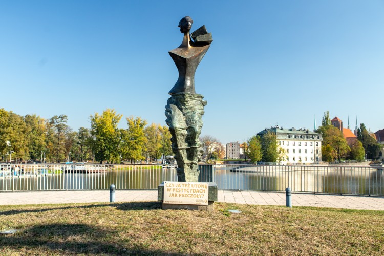 Wrocławskie pomniki zachęcają do pomocy pszczołom [ZDJĘCIA], Marta Boska / materiały prasowe