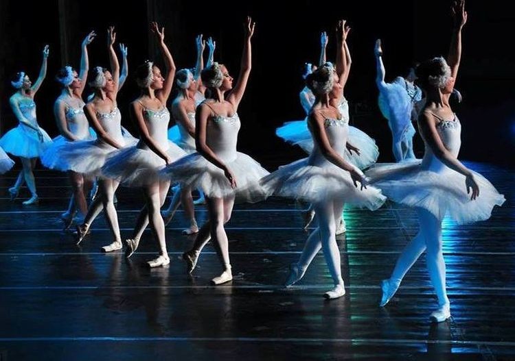 Royal Russian Ballet zaprezentuje we Wrocławiu „Jezioro łabędzie”, Materiały prasowe