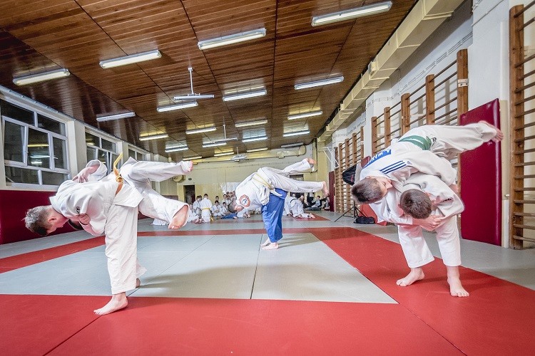 Wrocławianie zawalczą na Międzynarodowych Mistrzostwach Judo w Oleśnicy, Judo Tigers