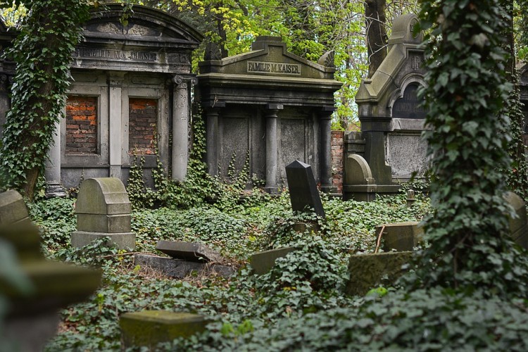 Policyjny pościg na Legnickiej. 45-latek próbował się schować na cmentarzu, pixabay.com