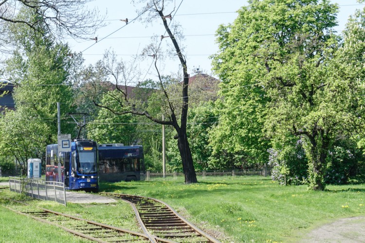 Miasto ogłosiło przetarg na kolejne etapy budowy tramwaju na Nowy Dwór, Magda Pasiewicz