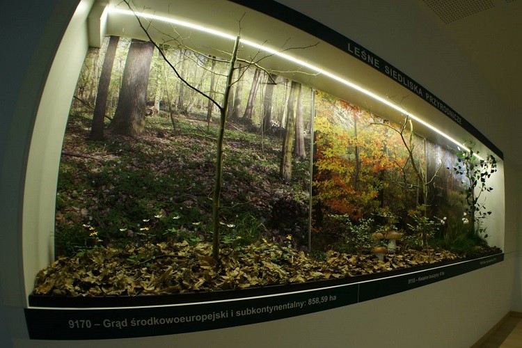 H2OLAS. Otwarcie wystawy Lasów Państwowych w Hydropolis [ZDJĘCIA], KAT CITY arte