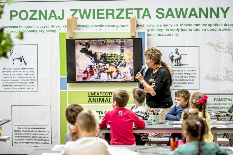 O ochronie przyrody w towarzystwie słonia, żyrafy i zebry – zapisz dzieci na weekendowe prelekcje o ochronie zwierząt, Materiały prasowe
