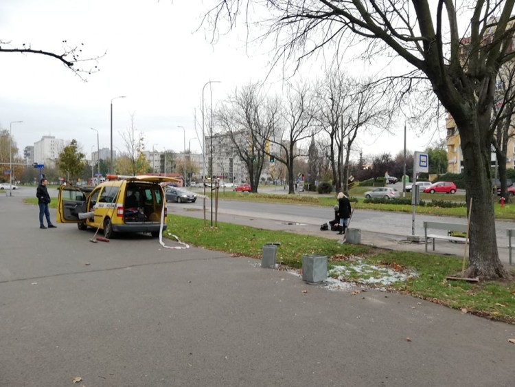 Wrocław: kierowca auta wjechał w przystanek, potrącił dwójkę dzieci i uciekł, bas
